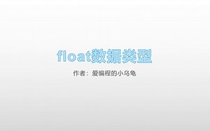 float数据类型