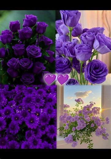 which colour of flower is your favorite #flower #asethetic #beauty #viral #fypシ