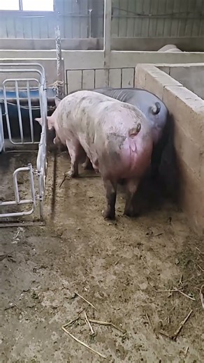 Daily Life, Simple and Strong@ 7