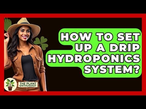 How To Set Up A Drip Hydroponics System? - The Plant Enthusiast
