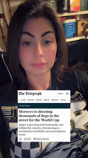 If Moroccos only solution is to execute poor innocent animals, the World Cup should be hosted somewhere else. | Kay Dubh