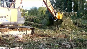 Tree Shear Website Video