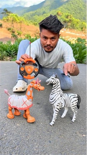 One Zebra One Giraffe RC Toy Unboxing dise