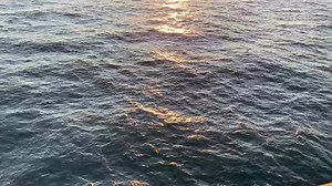 7.9K views · 717 reactions | Good morning... enjoying some hot coffee from our friends at Port City Java. Thanks guys! https://www.portcityjava.com/ | Frying Pan Tower | Facebook