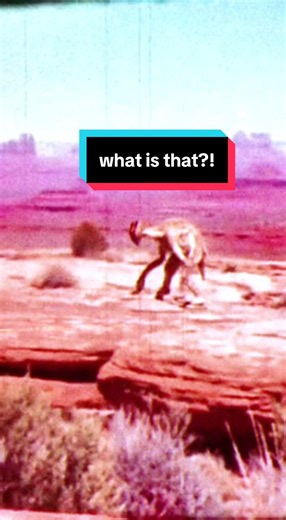 terrifying demon mutant caught on film in Utah outside of military base during 1980s prospecting expedition only known footage of creature real or hoax? #utah #mutant #alien #aliens #extraterrestrial