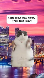 3K views · 106 reactions | Facts about USA history, you don't know | Simply Stated History | Facebook