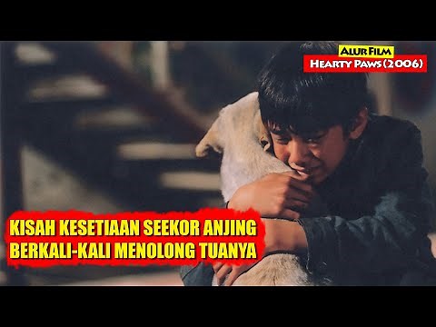 Kisah Seekor Anjing Yang Berkali-kali Menolong Tuanya | Alur Cerita Film HEARTY PAWS (2006)