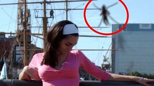 11M views · 72K reactions | 10 Strange Creature Encounters On Camera. }{ https://www.facebook.com/groups/UFOAliensOvniX/ | UFO Aliens Ovni X | Facebook