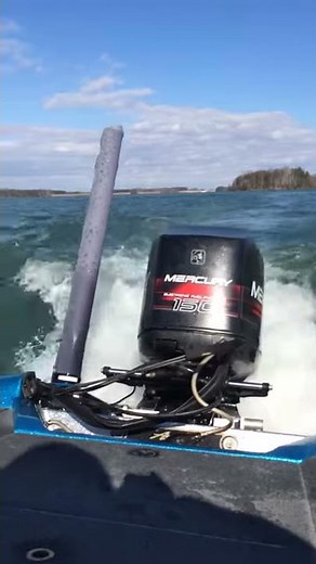Mercury 150 Two Stroke EFI