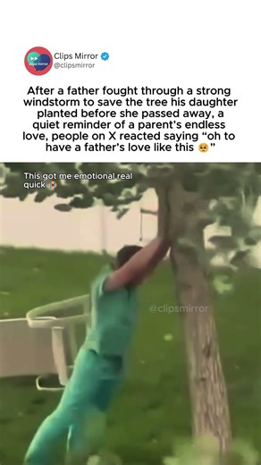 father’s “protecting the tree his daughter planted” moment goes viral #family