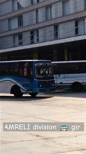 GSRTC Amreli division 🚌📍😍#gsrtc #gsrtcbharti #gsrtc_conductor_materials #amreli #gsrtcdriver