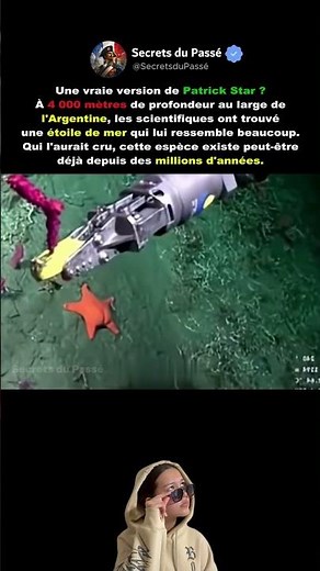 Patrick l'Étoile de mer existe-t-il vraiment dans la vraie vie ?