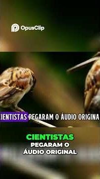 Why Fingernails Scratching a Chalkboard Cause Despair