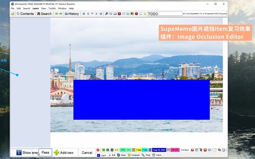 SuperMemo一键图片遮挡/挖空_Item复习效果_【教程看简介】