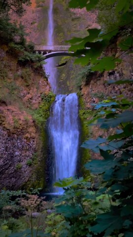 Why Multnomah Falls never gets old to visit
