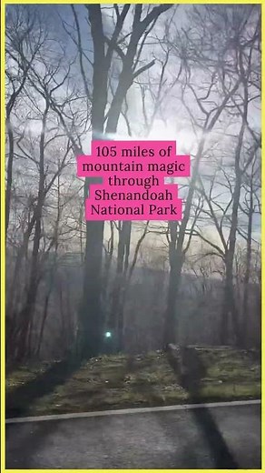 105 Miles of Pure Scenic Magic | Shenandoah Skyline Drive, VA #shenandoahnationalpark #skylinedrive