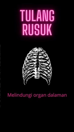 Sains Tahun 5: Sistem Rangka dan fungsinya