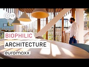 Tour Of Biophilic Apartment In Amsterdam