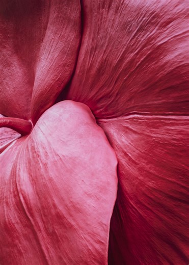Marc Quinn’s Burning Desire is a striking symbol of renewal: bold, bright, and unapologetically alive. At Sensei Lānaʻi, A Four Seasons Resort, guests are invited to experience art not just as beauty, but as inspiration, woven seamlessly into the landscape of well-being, nature, and thoughtful design. Marc Quinn, Burning Desire, 2011 ©Marc Quinn | Four Seasons Resorts Lanai