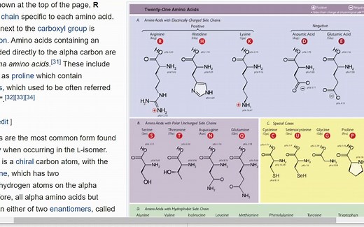 蛋白质组学新突破：谷歌DeepMind AlphaFold 2详解