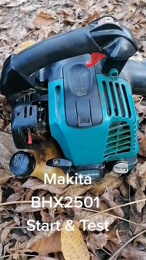 Makita BHX2501 4 Stroke Petrol Leaf Blower Start & Test