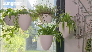 Sungmor Garden Self Watering Hanging Planter, 3 Pack, White, Succulent Flower Pot Air Plant Holder, Unique Eggshell Houseplant Pots, Home Indoor Outdoor Office Decorative Container