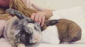 5K views · 727 reactions | Watching Netflix with my girls  | The Fluffy Group | Facebook