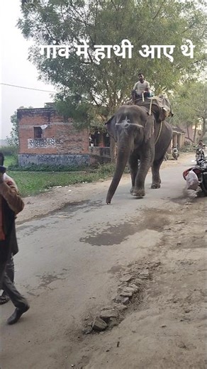 #song #love #dance #hindisong #comedy #janemerijanemanbachpankapyarmerabhulnahijanare #bollywood