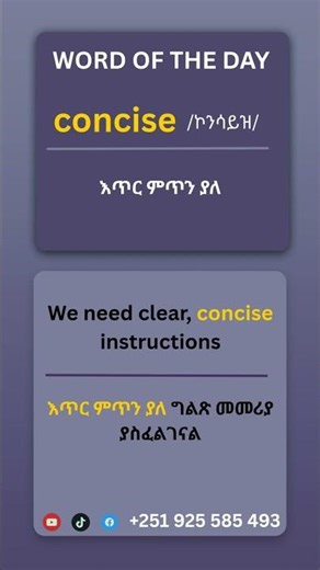 How to Use concise in a Sentence