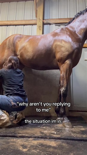 Unexpected Hose Explosion While Handling Horses