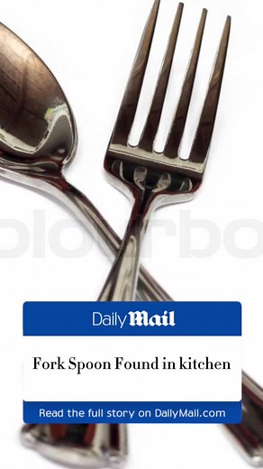 Fork and Spoon Discovery in Kitchen Update