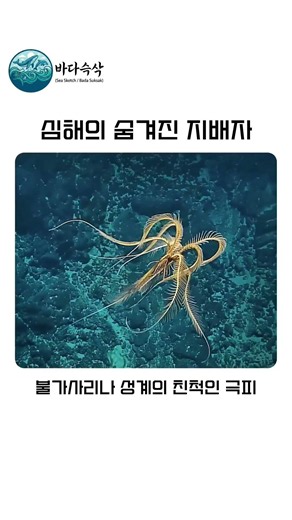 바다의 숨겨진 지배자