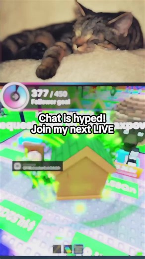 Check out the top comments in this LIVE. Thank you for making the LIVE so vibrant. Join the next LIVE to keep the conversation going!