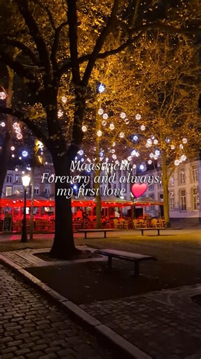 Ik woon inmiddels alweer iets meer dan 2 jaar in de Randstad, maar Maastricht is en blijft mijn eerste liefde, en is dus "thuis". ❤️ *Oeps, het is natuurlijk "forever"!🤭 •••••• I live in the Dutch Randstad (west of the Netherlands) for somewhat more than 2 years now, but Maastricht was, and will forever be, my first love, so it is "home".❤️ *Oops, it is "forever", of course.🤭 #hashtagmaastricht #maastricht #netherlands #nederland #limburg #city #maastrichtcity #travel #voyage #holland #zuidlim