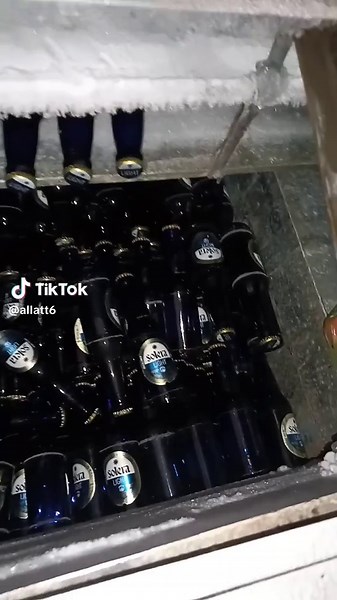 Baila y Disfruta: El Ritmo de Tum Tum Tum