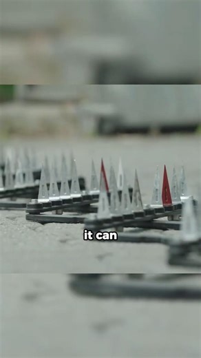 This Robotic Spike Is Genius!!!