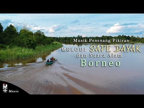 Musik Penenang Pikiran Instrumental Sape Suku Dayak Kalimantan Dan Suara Alam | [LOOP 1 JAM]