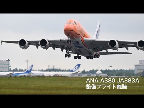 【4K】ANA A380 3号機JA383A 整備フライト 成田離陸