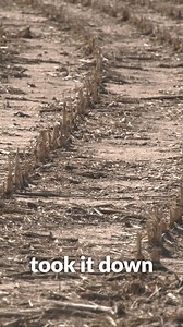 Farmer Scott Becker experienced a storm that decimated his 6’ tall corn crop. Weather events like that are why he relies on crop insurance. "I use crop insurance because that way I can get up the next morning [when disaster strikes] and start in again," Becker said. That way, his family farm can survive for the next generation. Watch Scott’s full video here: https://bit.ly/3z0haIr | Crop Insurance Keeps America Growing