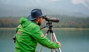 Love animals? This wildlife tour in Jasper National Park is practically mandatory. | Tourism Jasper