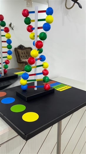 Tools learn on Instagram‎: "DNA model DNA_model_project #dnamodelproject #وسائل_تعليمية #وسائل_تعليمية_تفاعلية #وسائل_مدرسية #cricutmade #jordan #explore"‎