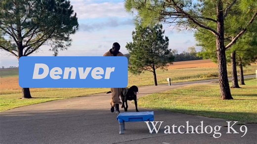 Update Vid. | Watchdog K9 LLC | Facebook