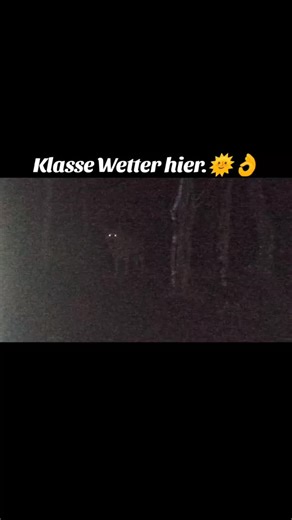 #wolf #hybrid #hund | Thomas Frost | Facebook