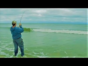 THEY'RE CHEWING! - October Red Drum Surf Fishing NC