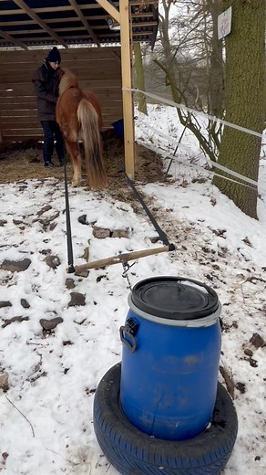 9.7K views · 184 reactions | Jak se dováží voda u nás ❤️ aneb když koníci nejsou jen na parádu  | Kristy. M Ranch | Facebook