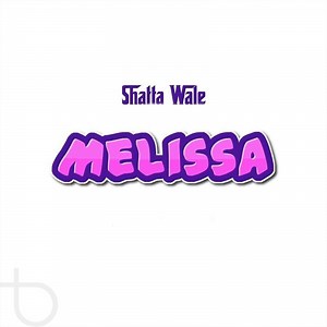 Melissa - Shatta Wale: Song Lyrics, Music Videos & Concerts