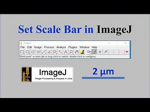 Set Scale Bar in ImageJ for Analysis