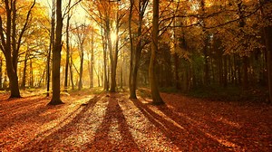 The Autumn Equinox explained