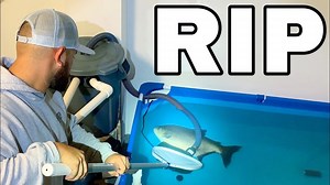 Pond Fish Prank Gone Hilariously Wrong