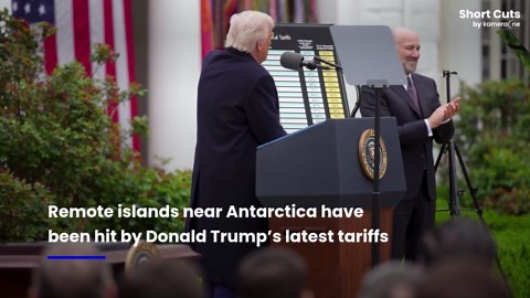 Trump tariffs mocked for targeting penguin-inhabited islands